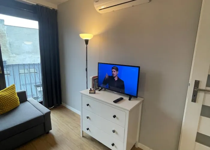 Sunflower Old Town * クラクフ