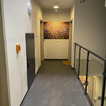 Sunflower Old Town *